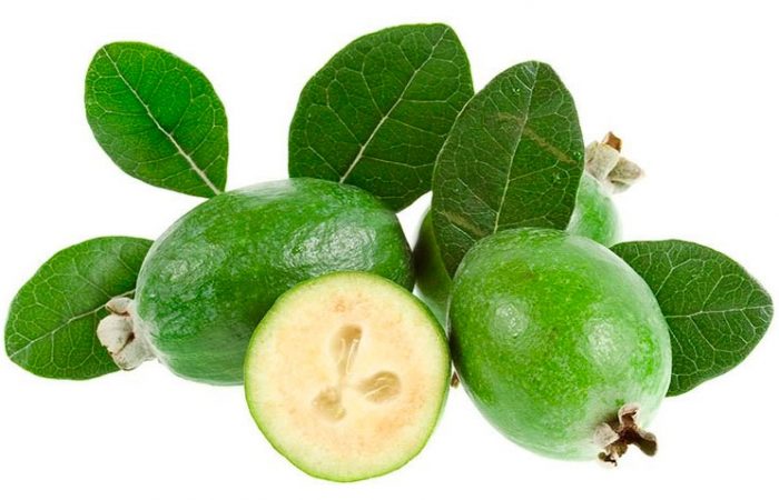 Types and varieties of feijoa