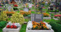 Virágok a temetőbe