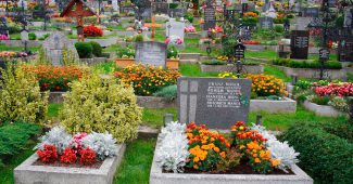 Fleurs pour le cimetière