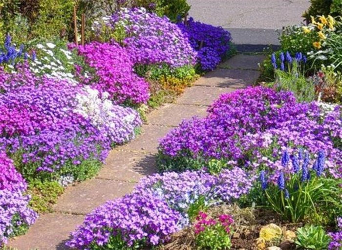 Wie man den Garten pflegt