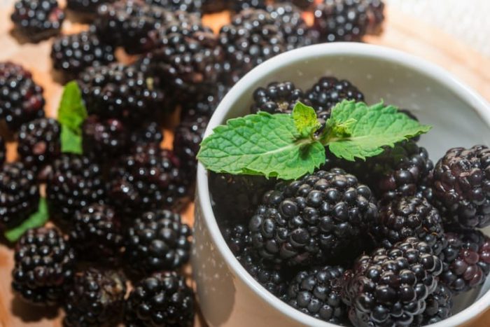 Useful properties of blackberries