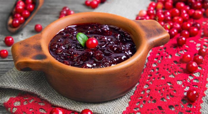 Useful properties of lingonberry