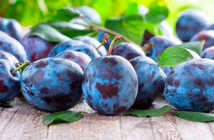 Useful properties of plums
