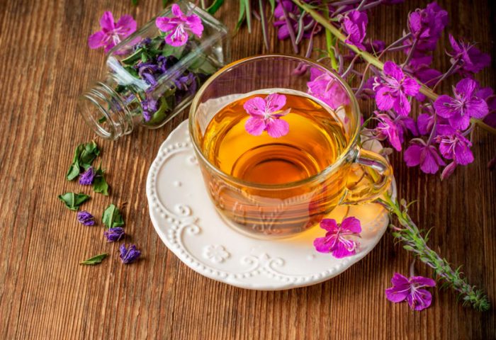 Useful properties of ivan tea