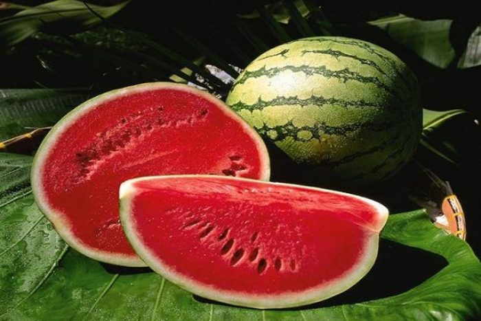Typer och sorter av vattenmeloner