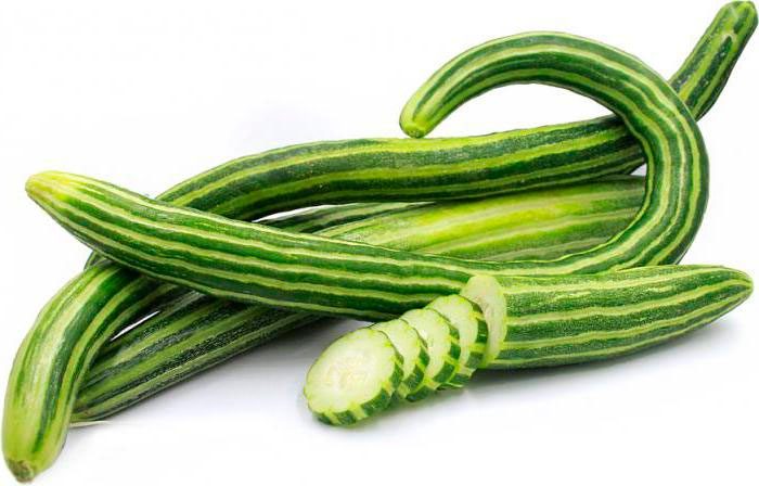 Armenian cucumbers