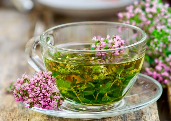 The healing properties of thyme