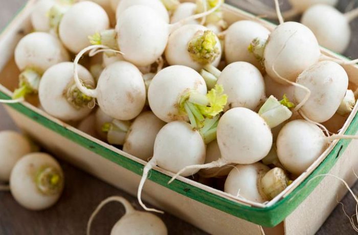 Popular varieties of turnip with white flesh