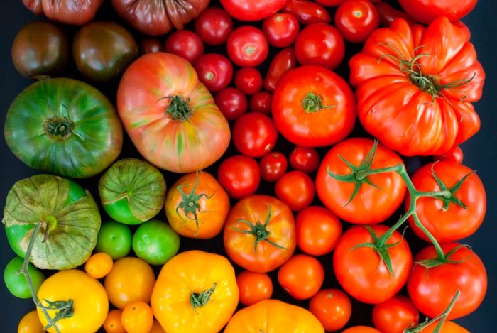 Types and varieties of tomatoes