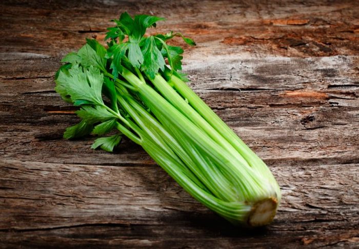 Celery stalk (petiolate)