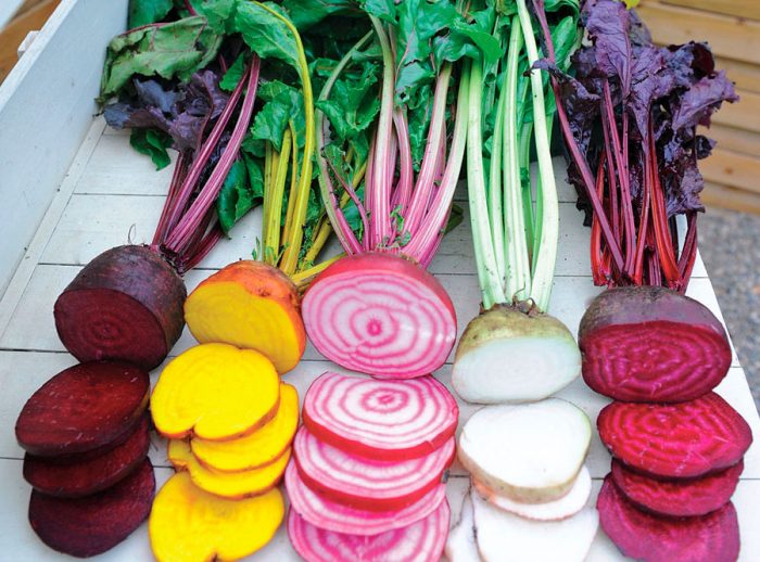 Types and varieties of beets