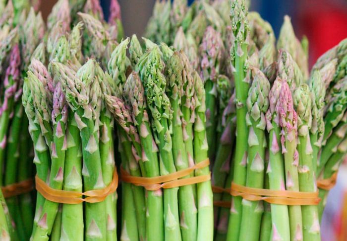 Features of asparagus