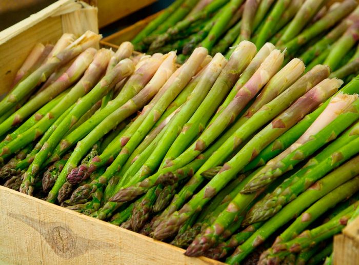 Collection and storage of asparagus