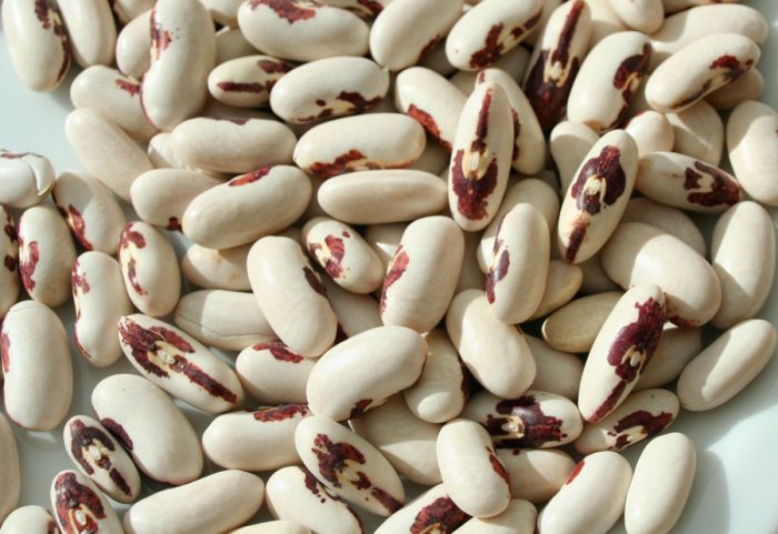 grain beans