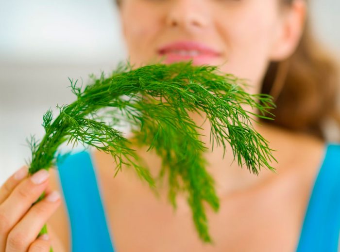 Useful properties of dill