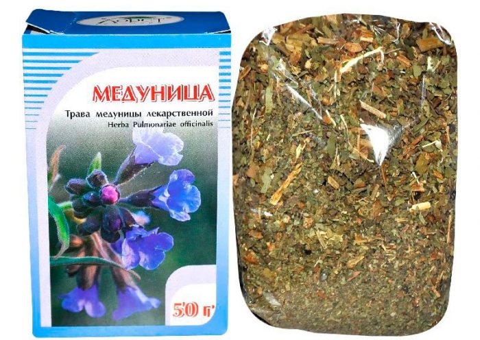 Medicinal properties of lungwort