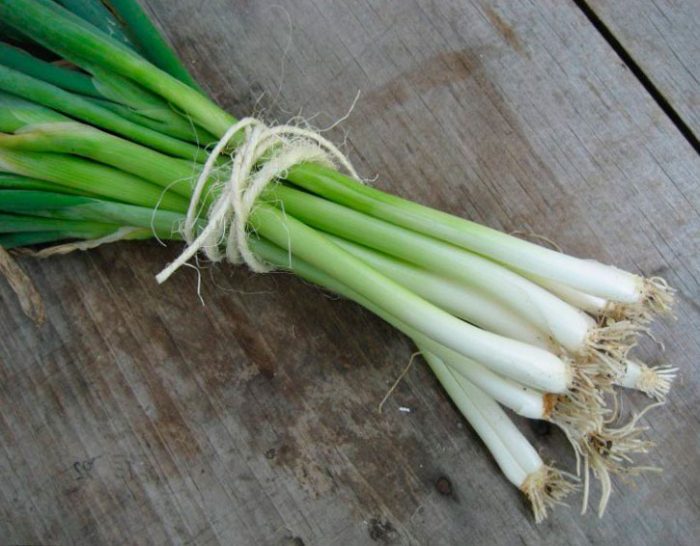 Useful properties of onion batun