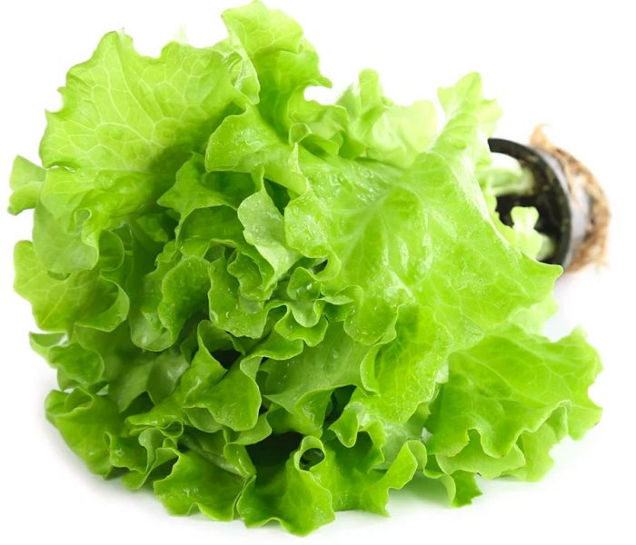 Leaf salad